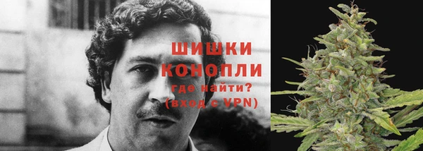 ПСИЛОЦИБИНОВЫЕ ГРИБЫ Краснослободск