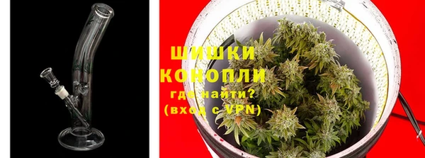 ПСИЛОЦИБИНОВЫЕ ГРИБЫ Краснослободск