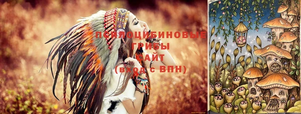 синтетический гашиш Костерёво