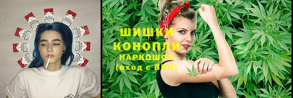 ПСИЛОЦИБИНОВЫЕ ГРИБЫ Краснослободск