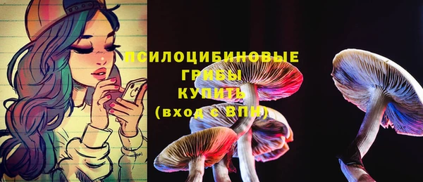 ПСИЛОЦИБИНОВЫЕ ГРИБЫ Краснослободск