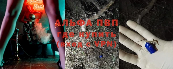 ПСИЛОЦИБИНОВЫЕ ГРИБЫ Краснослободск