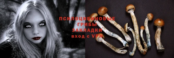 ПСИЛОЦИБИНОВЫЕ ГРИБЫ Краснослободск