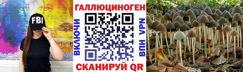 Псилоцибиновые грибы MAGIC MUSHROOMS  Шимановск 